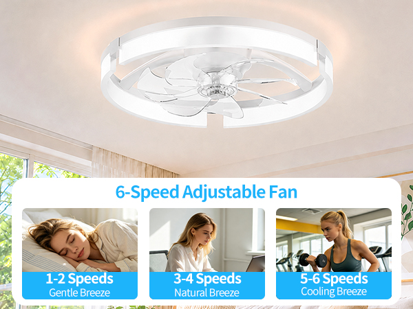Ceiling Fans with Lights and Remote