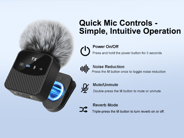 mini mic