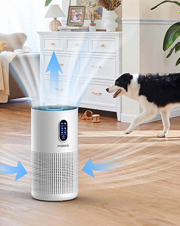 air purifiers for pets