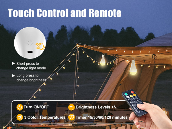 Brightown Rechargeable Light Bulb with Remote