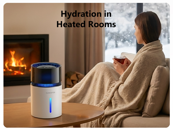 Mist-Free Evaporative Humidifier