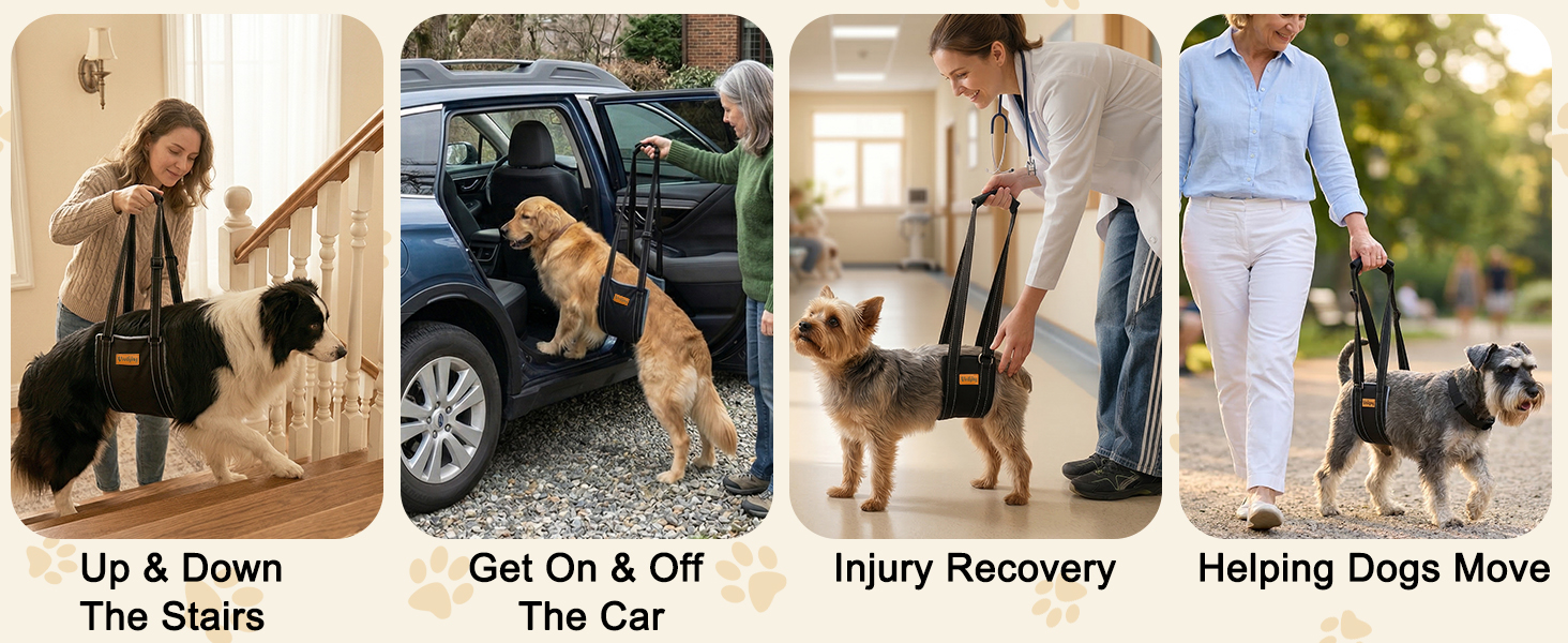 Dog Lift Harness