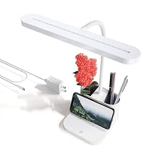 https://m.media-amazon.com/images/I/31Z5wq7SYdL.__AC_SR200,225___.jpg