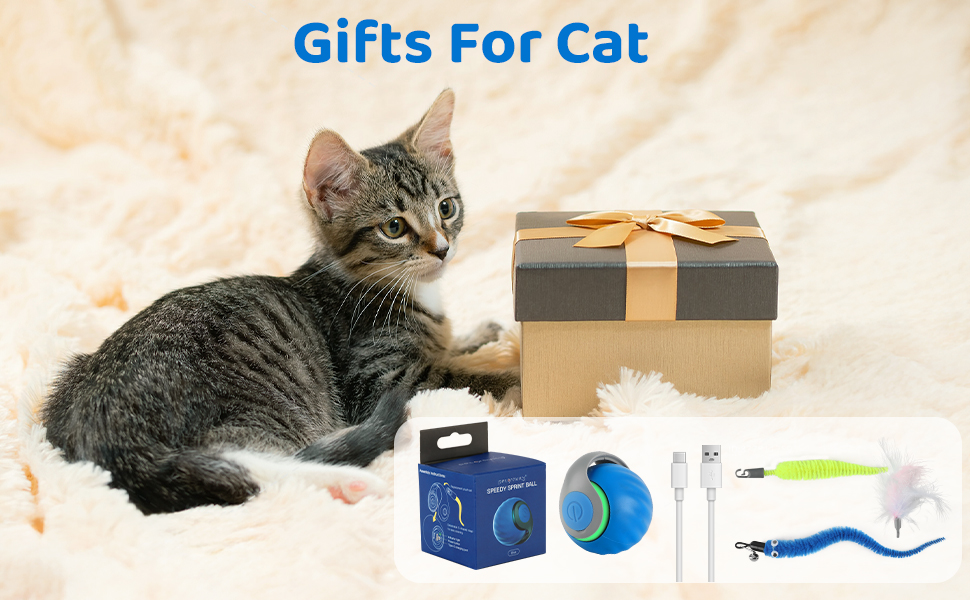 interactive cat toys