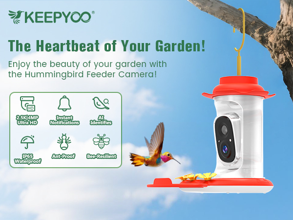smart hummingbird feeder with camera