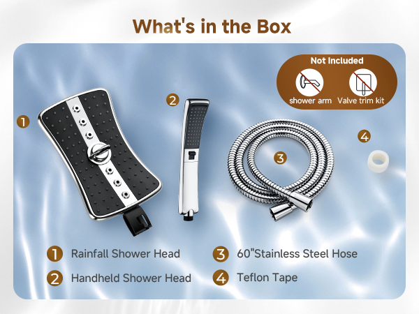 shower head with handheld