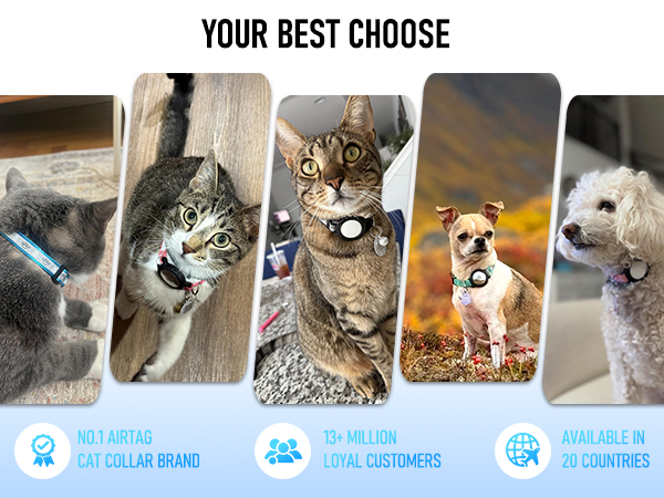 cat collar