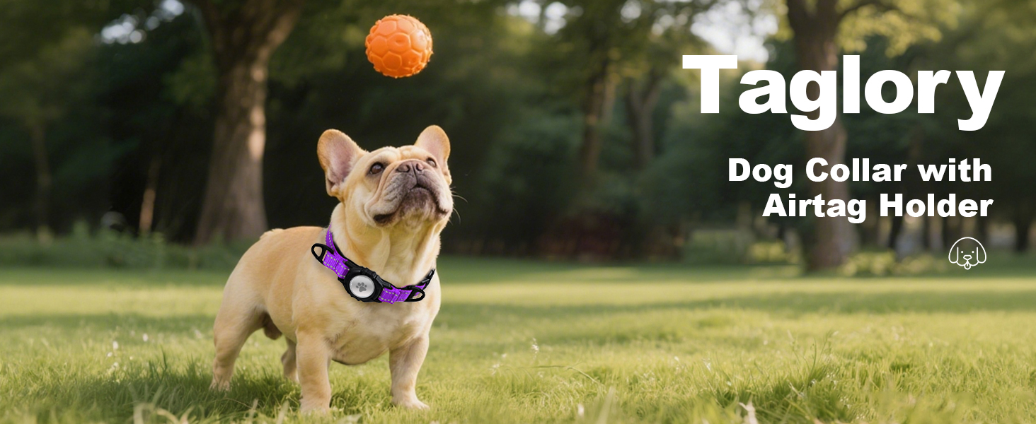 airtag dog collar