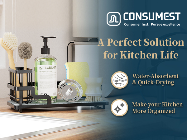 sponge holder for kitchen sink