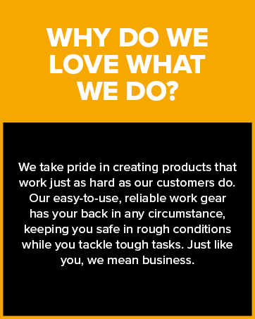 Why Do We Love What We Do?