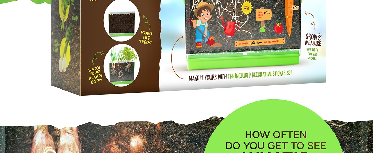 kids Root Viewer