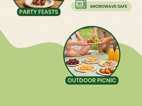 biodegradable paper plates compostable