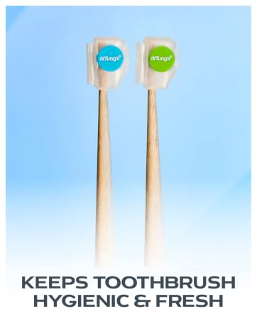 adults plastic flossing brush bristles flosser de dientes palillos toothpick