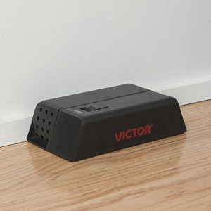 High-Voltage Shock Humanely Kills Rodents