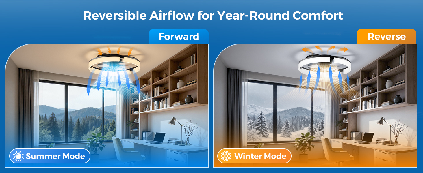 fandelier ceiling fan with light