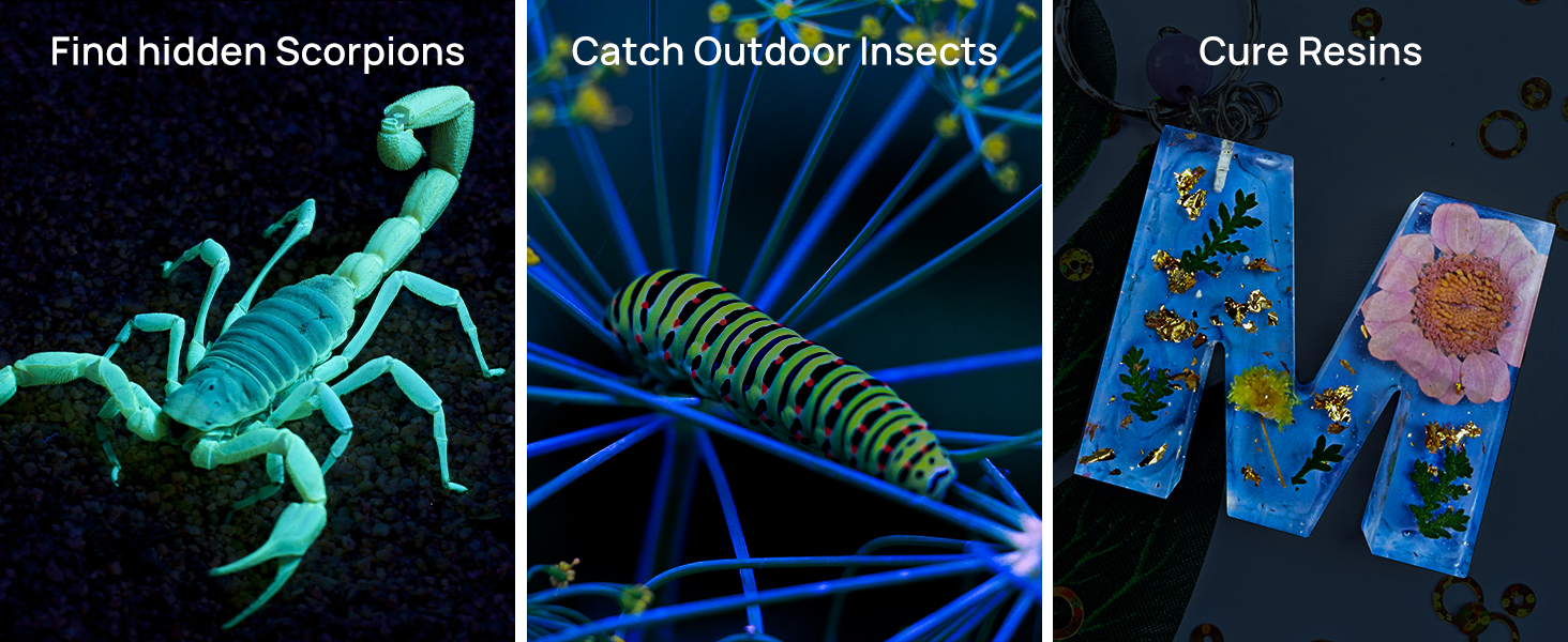 uv flashlight for scorpions