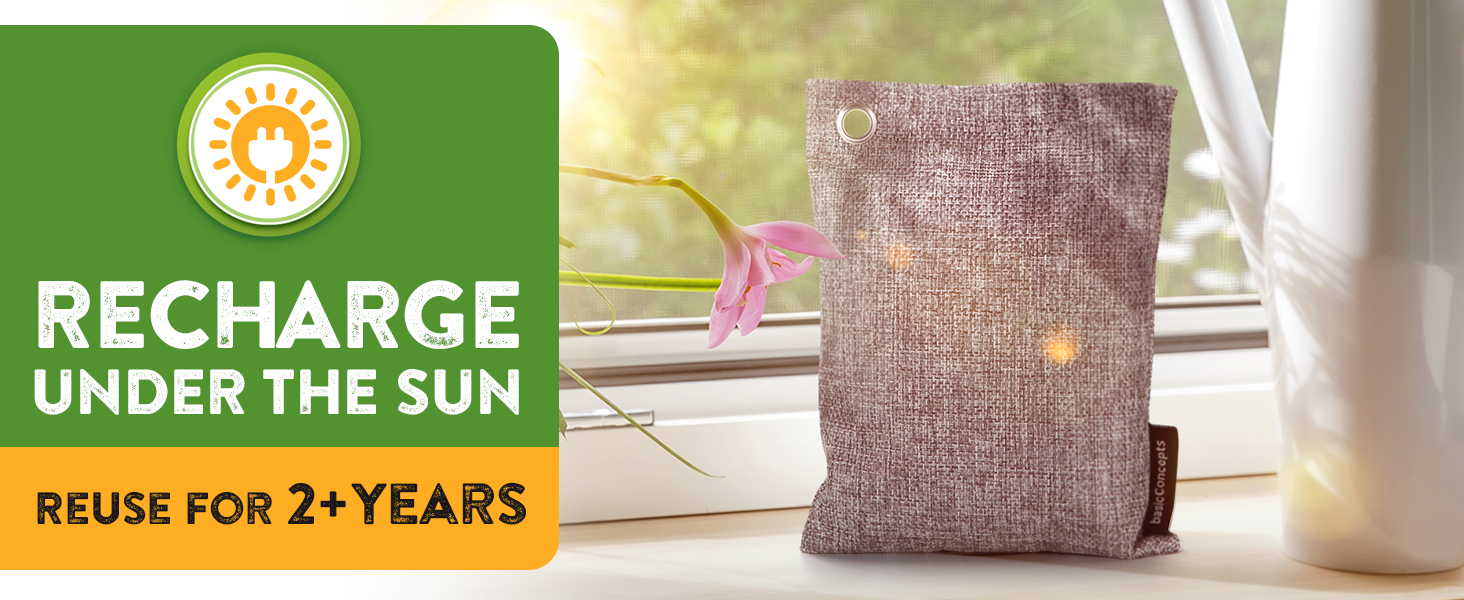 odor charcoal absorber eliminator bags air bamboo deodorizer activated closet bag car purifying