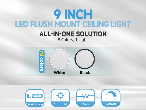 flush mount ceiling light
