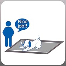 pee pee pads dog pee pads xl