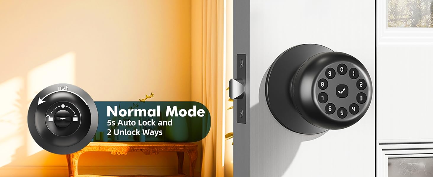Normal Mode Smart Door Lock