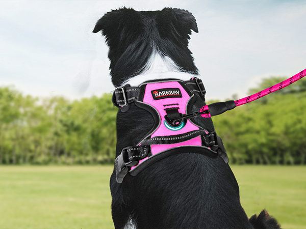 harness ruffwear harness dog harness medium harness for small dogs harness dog