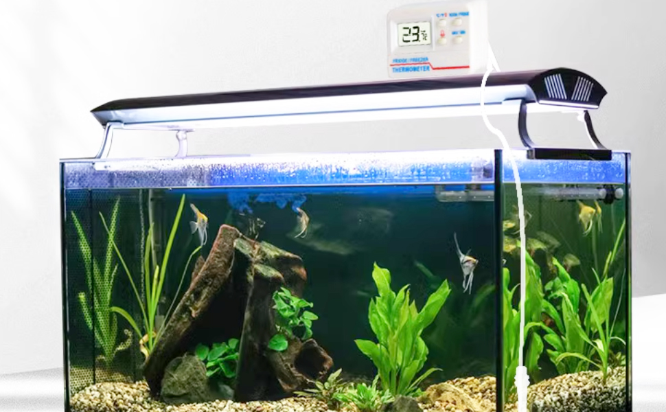 Digital Alarm Thermometer