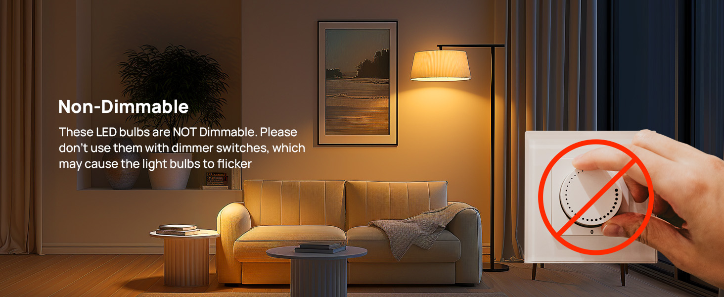 A19 Non Dimmable bulbs-40W-2