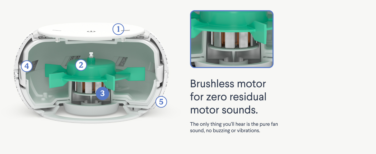Brushless motor for zero residual motor sounds