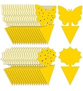 72PCS Fruit Fly Sticky Traps Fungus Gnat Traps Insect Trap for Plants Kitchen Indoor Outdoor Whit...