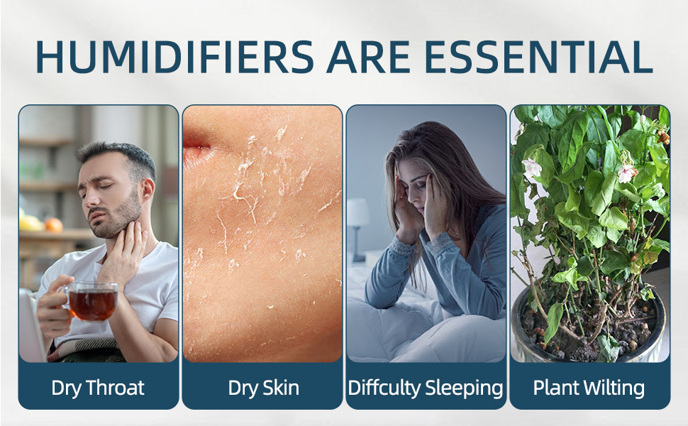 Humidifier