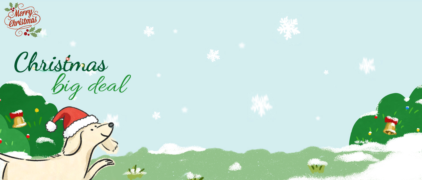 Euphro Digital Picture Frame Merry Christmas Happy Black Friday