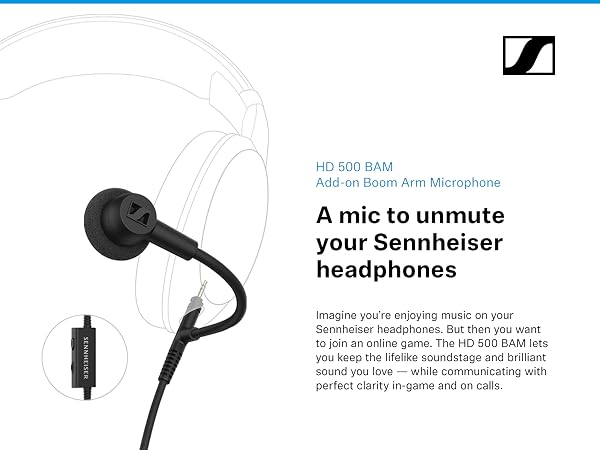 HD 500 BAM