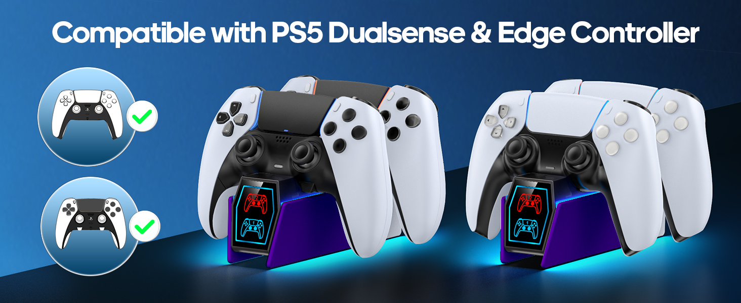 PS5 Controller Charger
