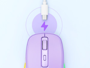 rechargeable mouse