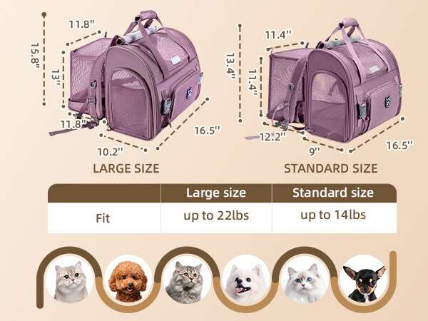 cat carrier