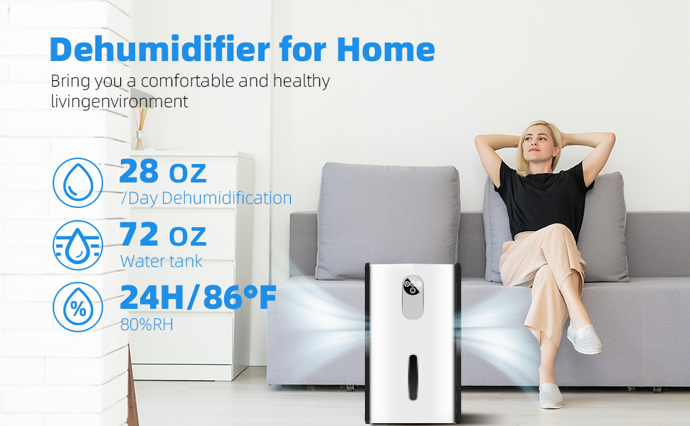 Dehumidifier