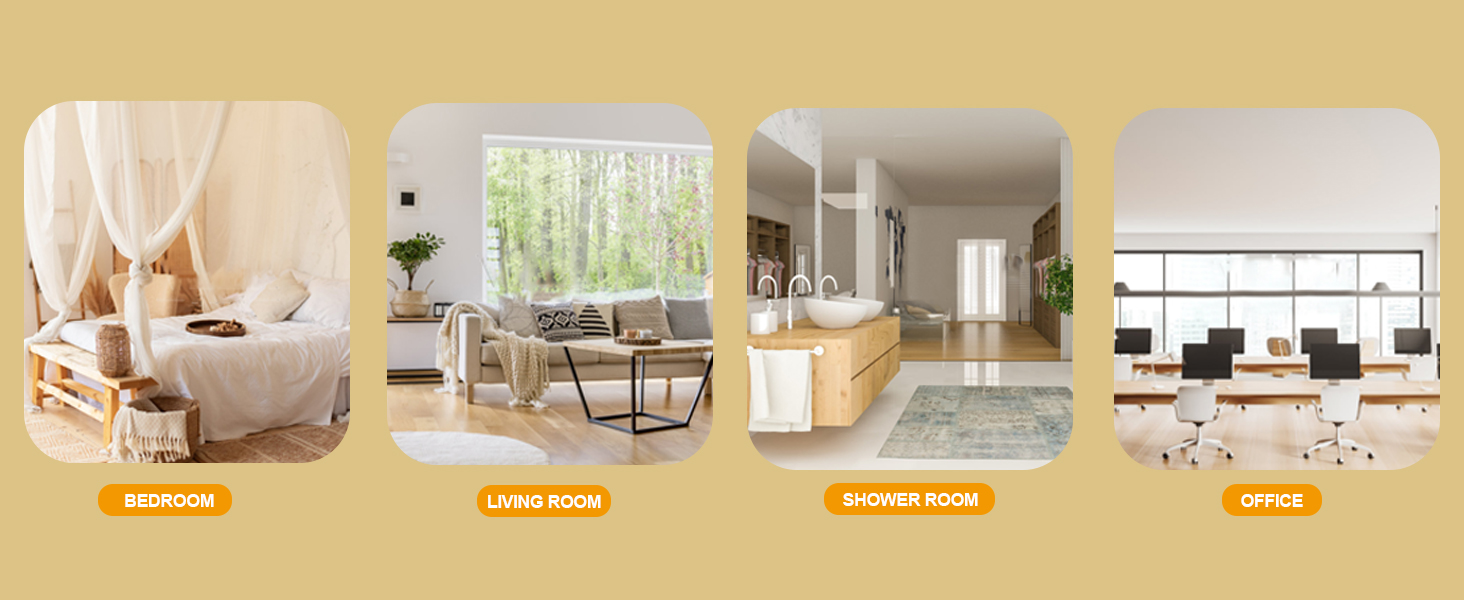 gas and carbon monoxide detector