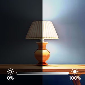 4 Levels Brightness