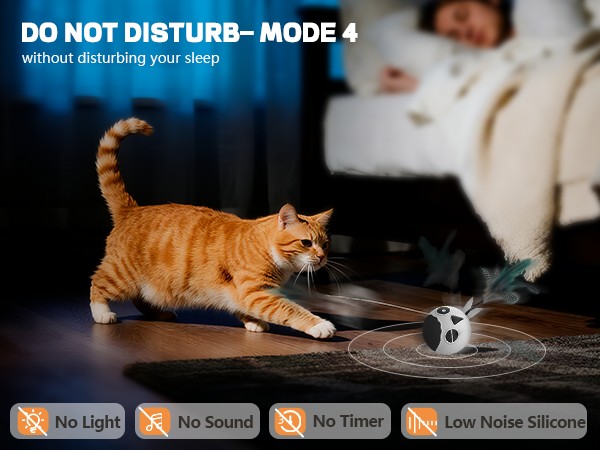 cat toys