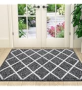 Finchitty Indoor Door Mat, Non-Slip Absorbent Resist Dirt Entrance Rug, Durable Machine Washable ...
