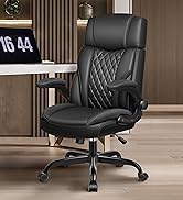 Desk Chair with Lumber support