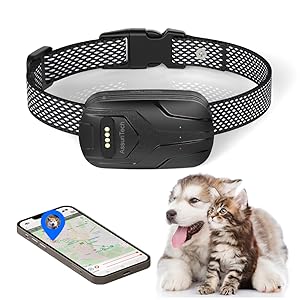 Sequence showing black GPS pet collar with mesh band, LED indicators, and smartphone app interface displaying map location. Companion animals shown wearing the device.