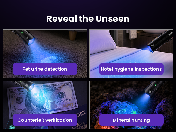blacklight for detection inspection
