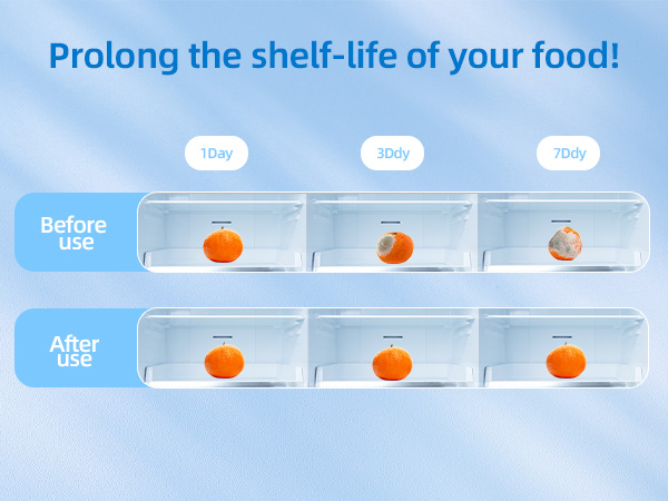 fridge deodorizer