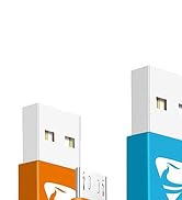 Aioneus