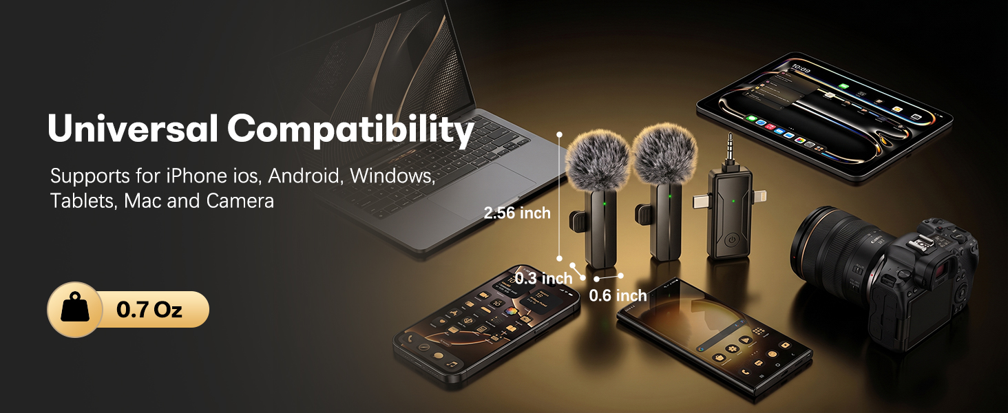 mini mics