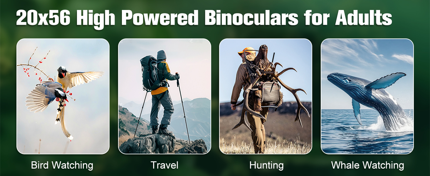 Binoculars