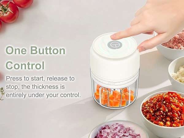 mini chopper food processor