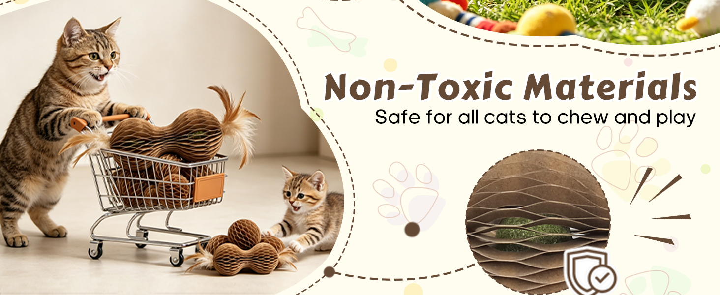 feather toys for kitten