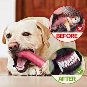 dog chew bones